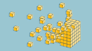 Leadership Development as a Force Multiplier for Systemic Solutions